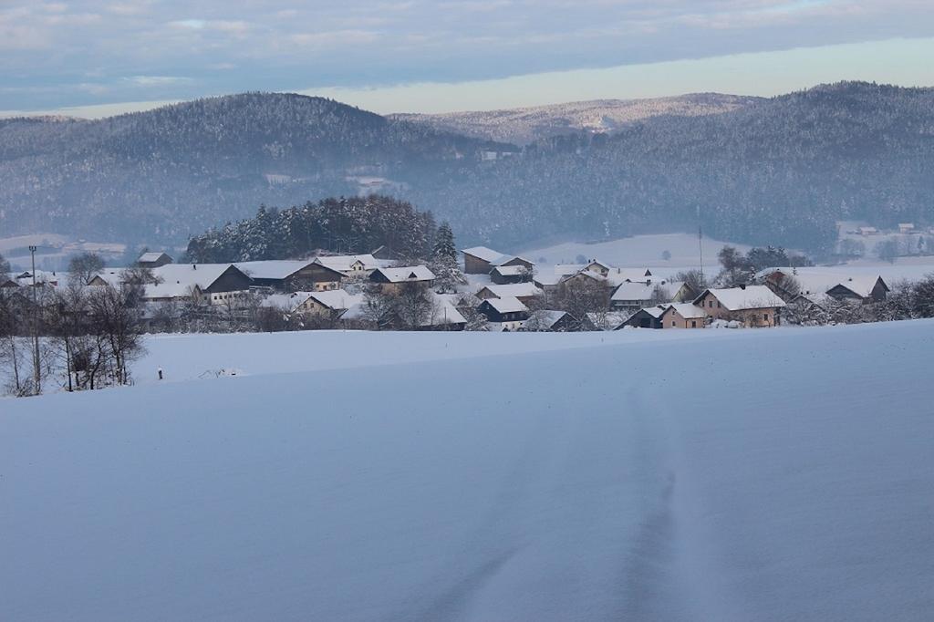 Gasthaus Zur Waldesruh Waffenbrunn Exterior foto