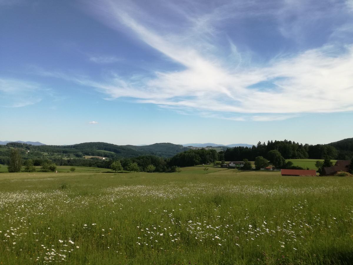 Gasthaus Zur Waldesruh Waffenbrunn Exterior foto